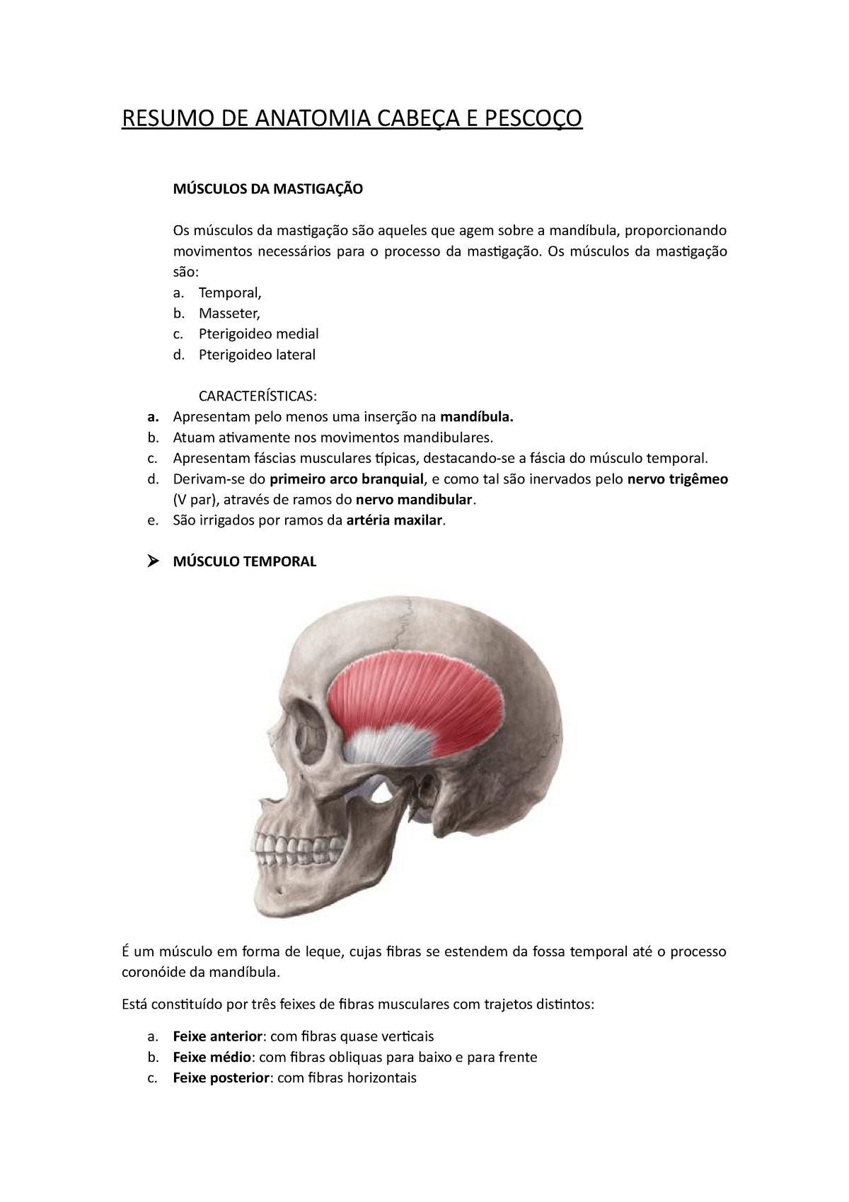 Músculo pterigóideo lateral: Origem, Inserção, Ação