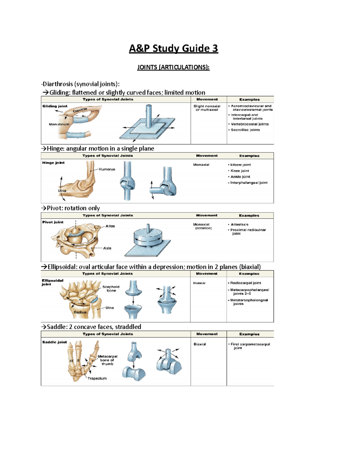 A&P Lecture Exam 3 Study Guide - A&P Study Guide 3 JOINTS ...