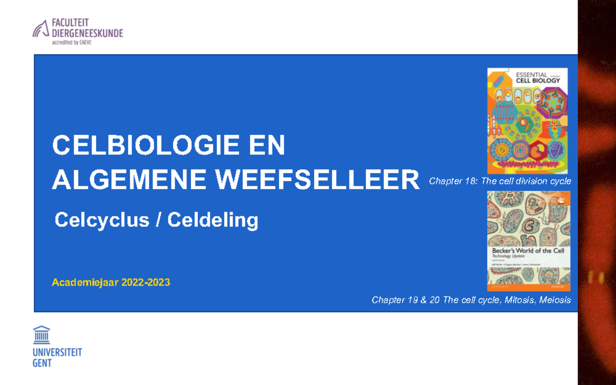 Celdeling - Ppt Met Notities - Celbiologie En Algemene Weefselleer ...