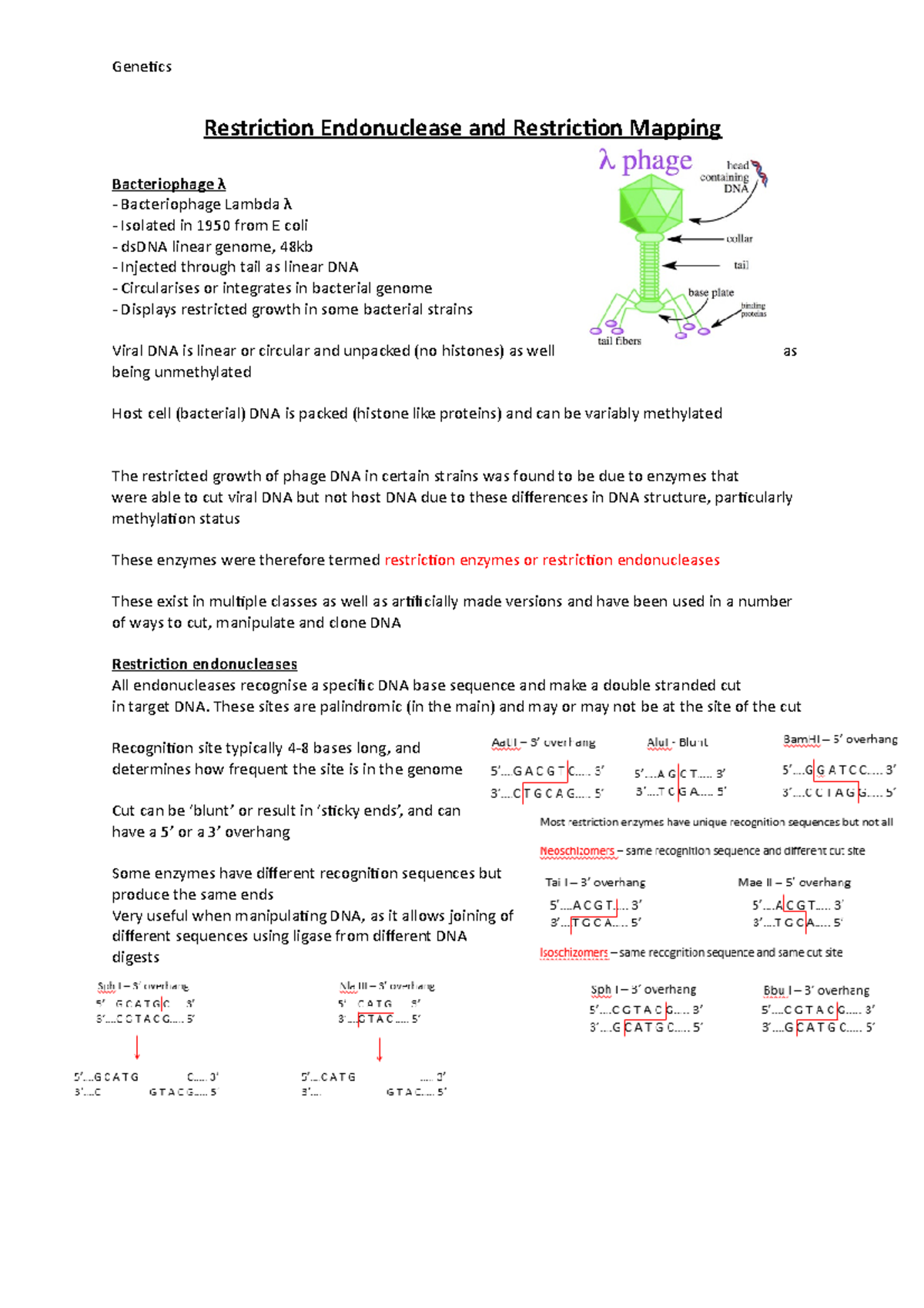 genetics-restriction-endonuclease-and-restriction-mapping-studocu