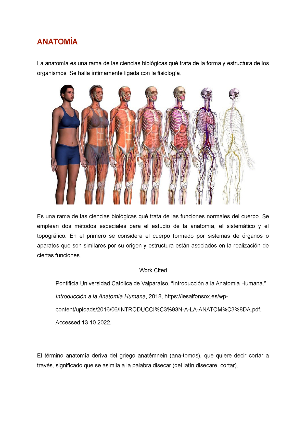 Tarea N 1 - Anatomia - ANATOMÍA La Anatomía Es Una Rama De Las Ciencias ...