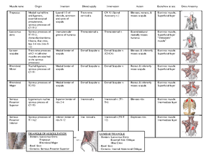 Endocrine System Notes - ENDOCRINE SYSTEM -regulating system that ...