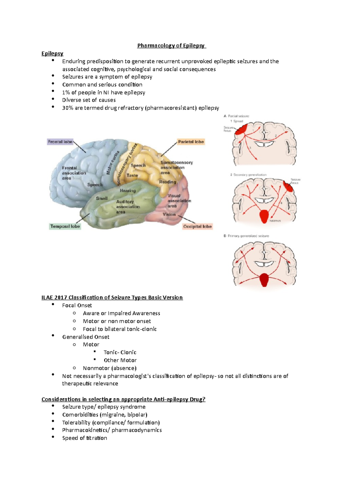 Pharmacology of Epilepsy - Pharmacology of Epilepsy Epilepsy Enduring ...