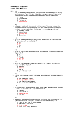 THE- Nervous- System - THE NERVOUS SYSTEM Types of Neuron Major Region ...