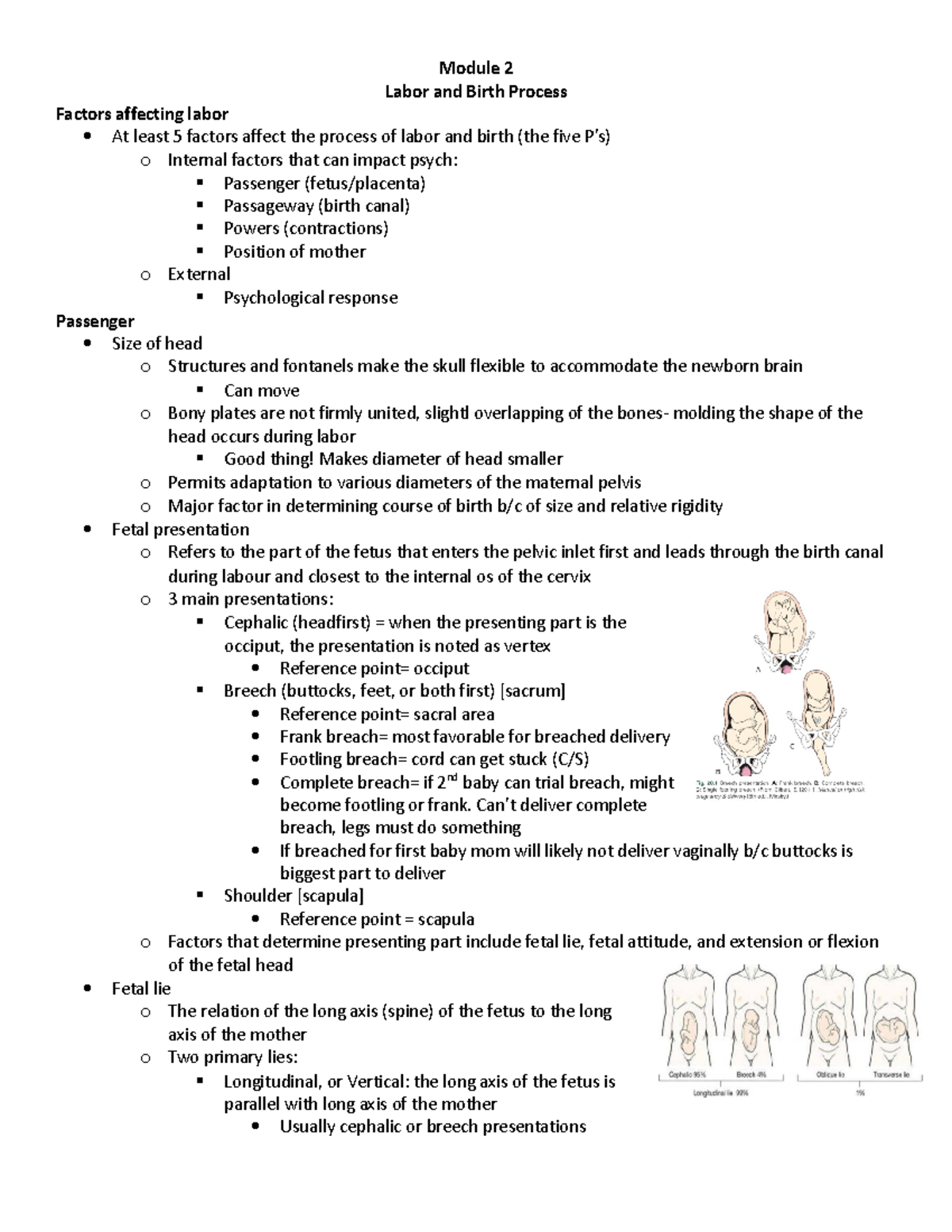 Module 2 - Labor and Birth Process - Module 2 Labor and Birth Process ...