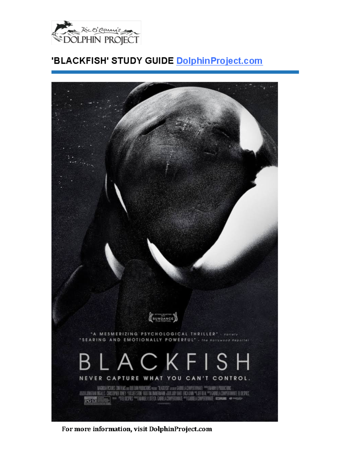 thesis of the film blackfish