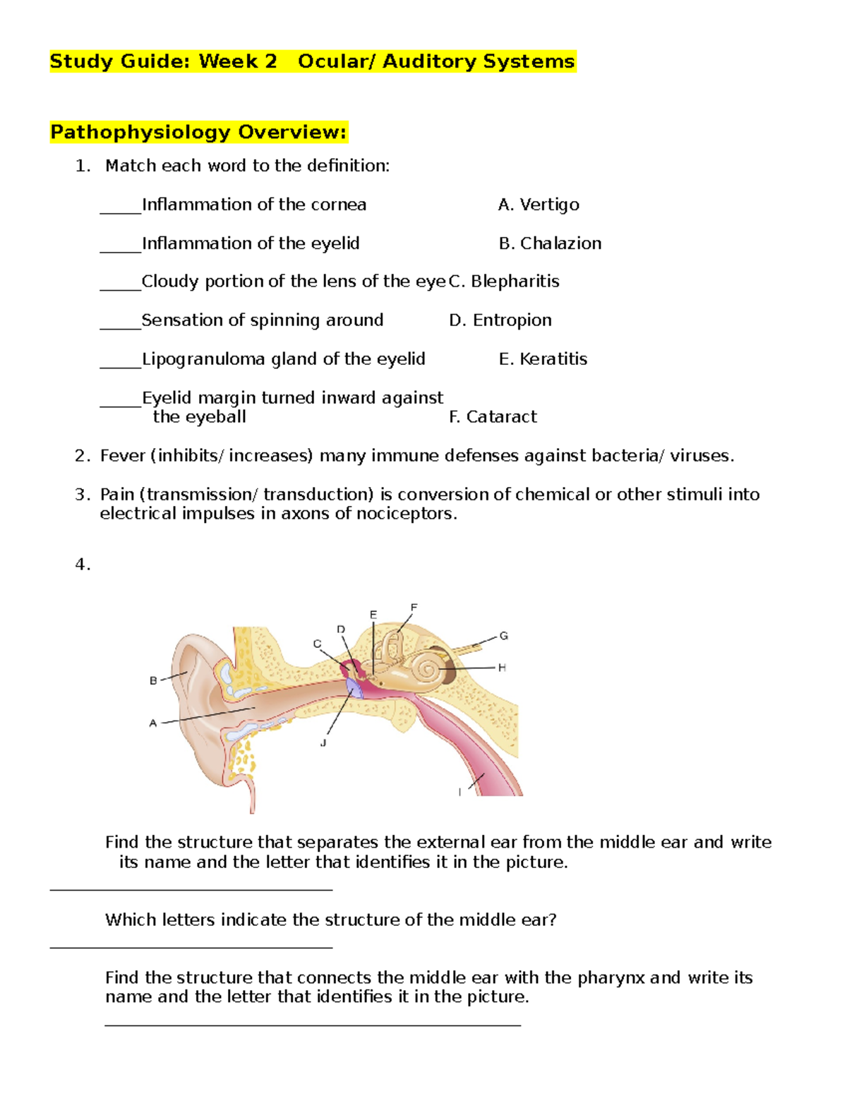 Study Guide Week 3 Ocular- Auditory Systems-1 - Study Guide: Week 2 ...