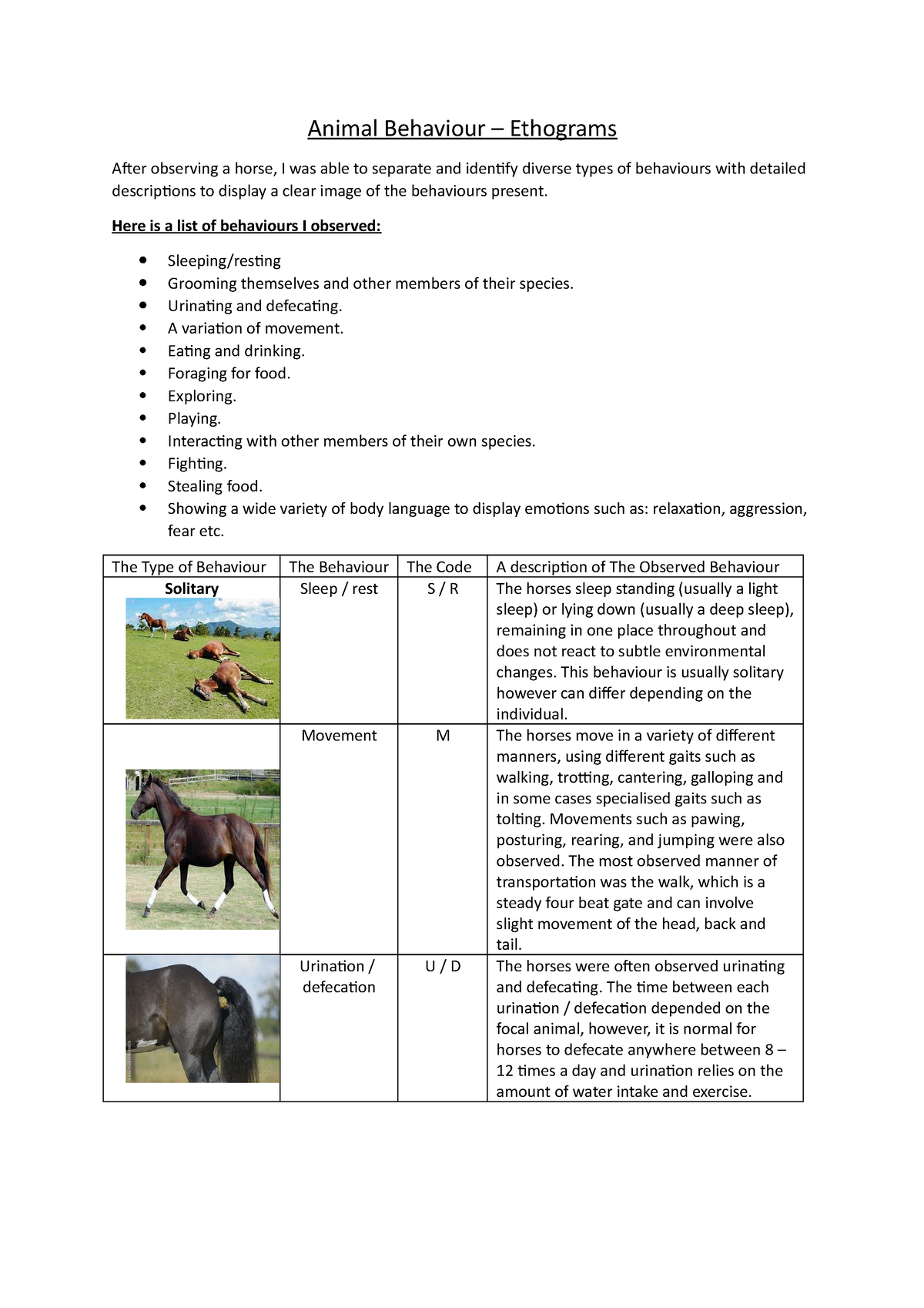 Animal Behaviour - Equine Ethogram - Animal Behaviour – Ethograms After  observing a horse, I was - Studocu