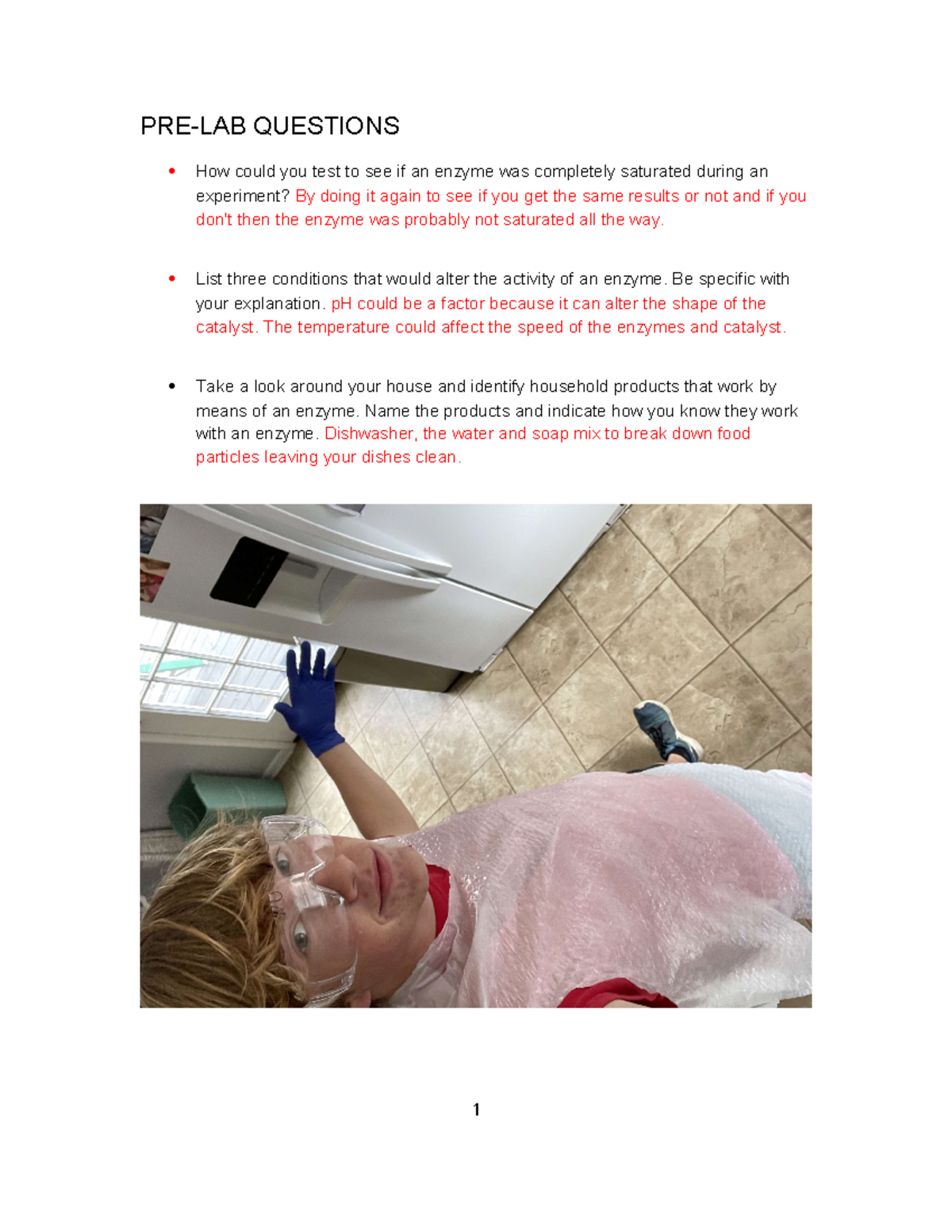 Enzymes PRELAB QUESTIONS ⦁ How could you test to see if an enzyme