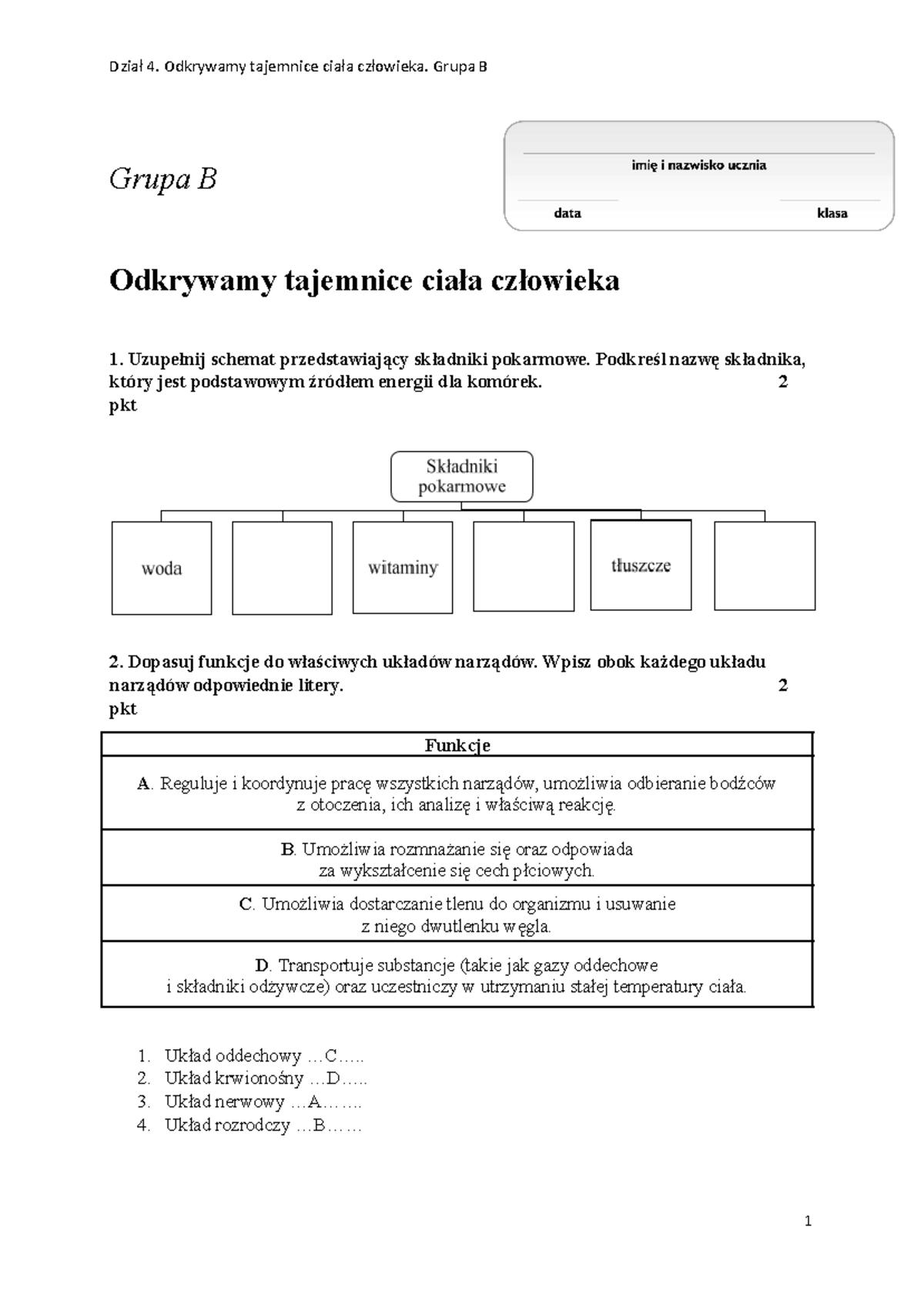 Julita Spocińska - Sprawdzian-po-dziale-4-grupa-b - Grupa B Odkrywamy ...