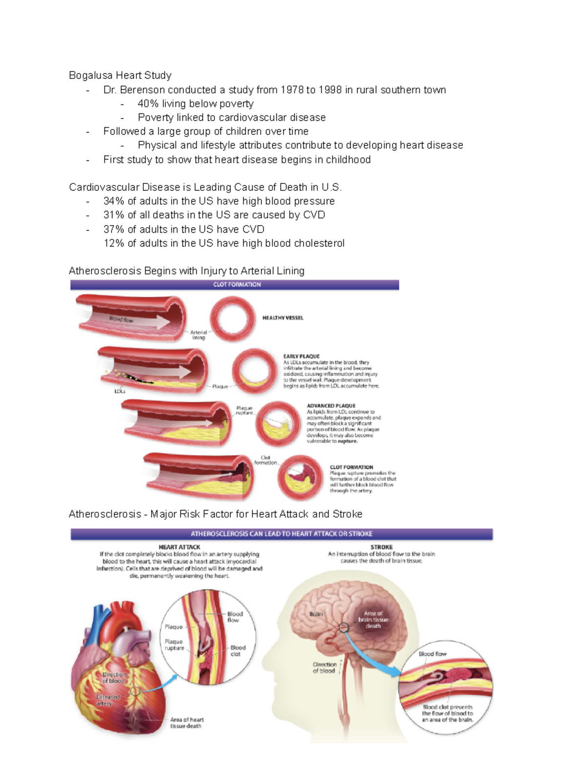 B- Spotlight B Lipid In Health And Disease NTDT200 - Bogalusa Heart ...