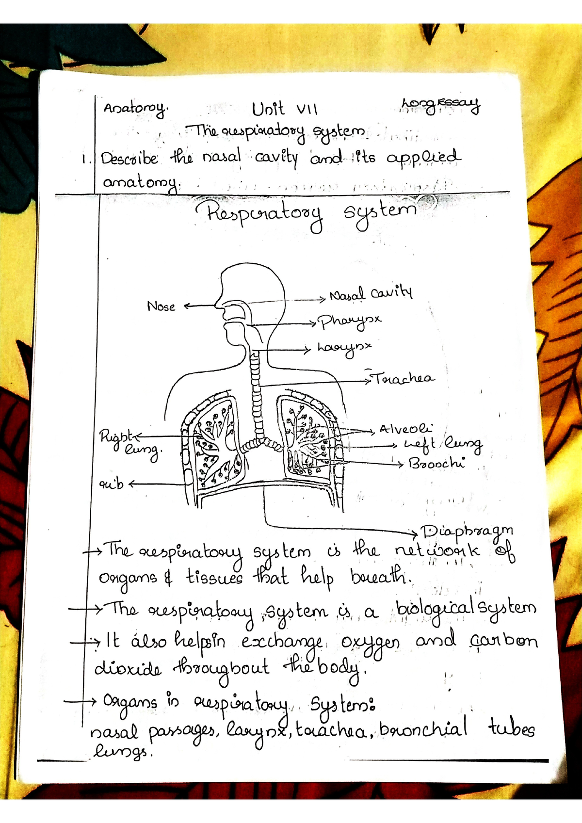 Blueprint - Bsc.nursing - Studocu