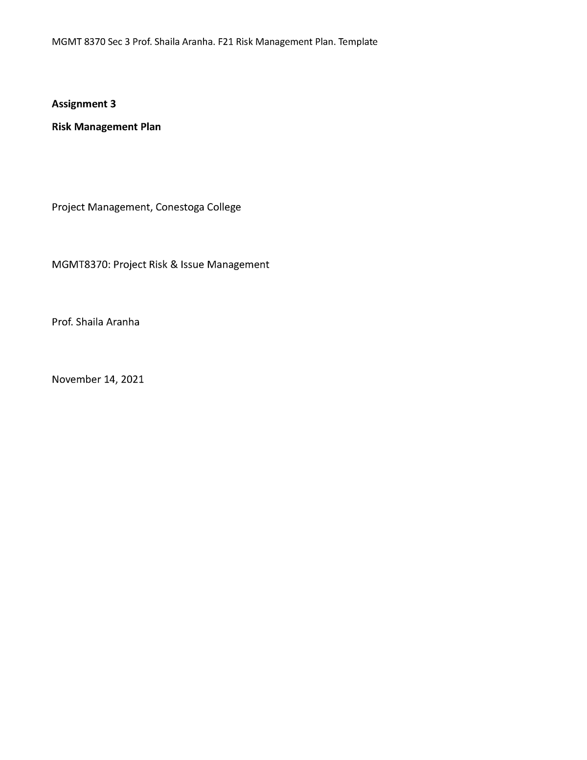 assignment 3 risk management plan