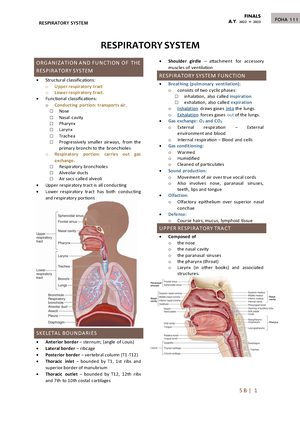 Phy.s3.l26 - Renal Physiology Ii - Physio Physiology Shift Renal 