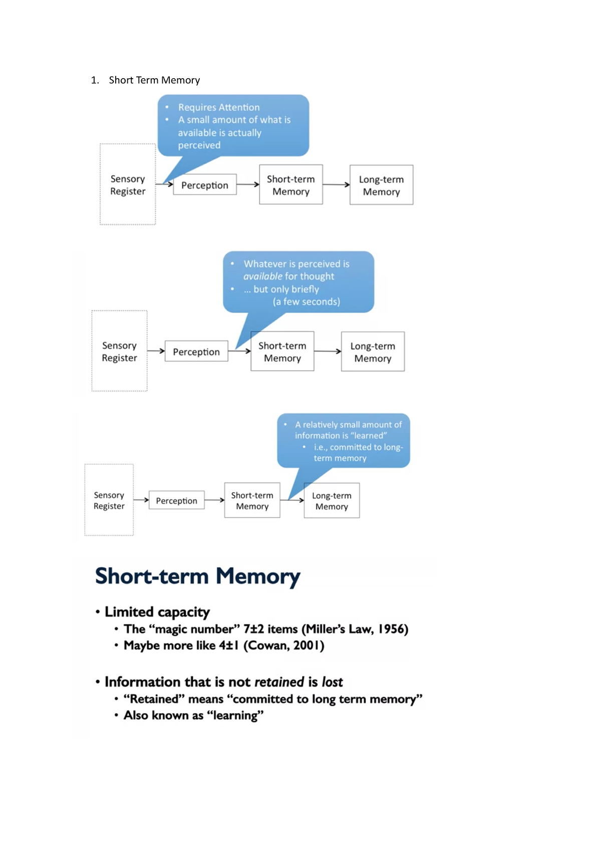 memory-user-experience-research-short-term-memory-long-term-memory