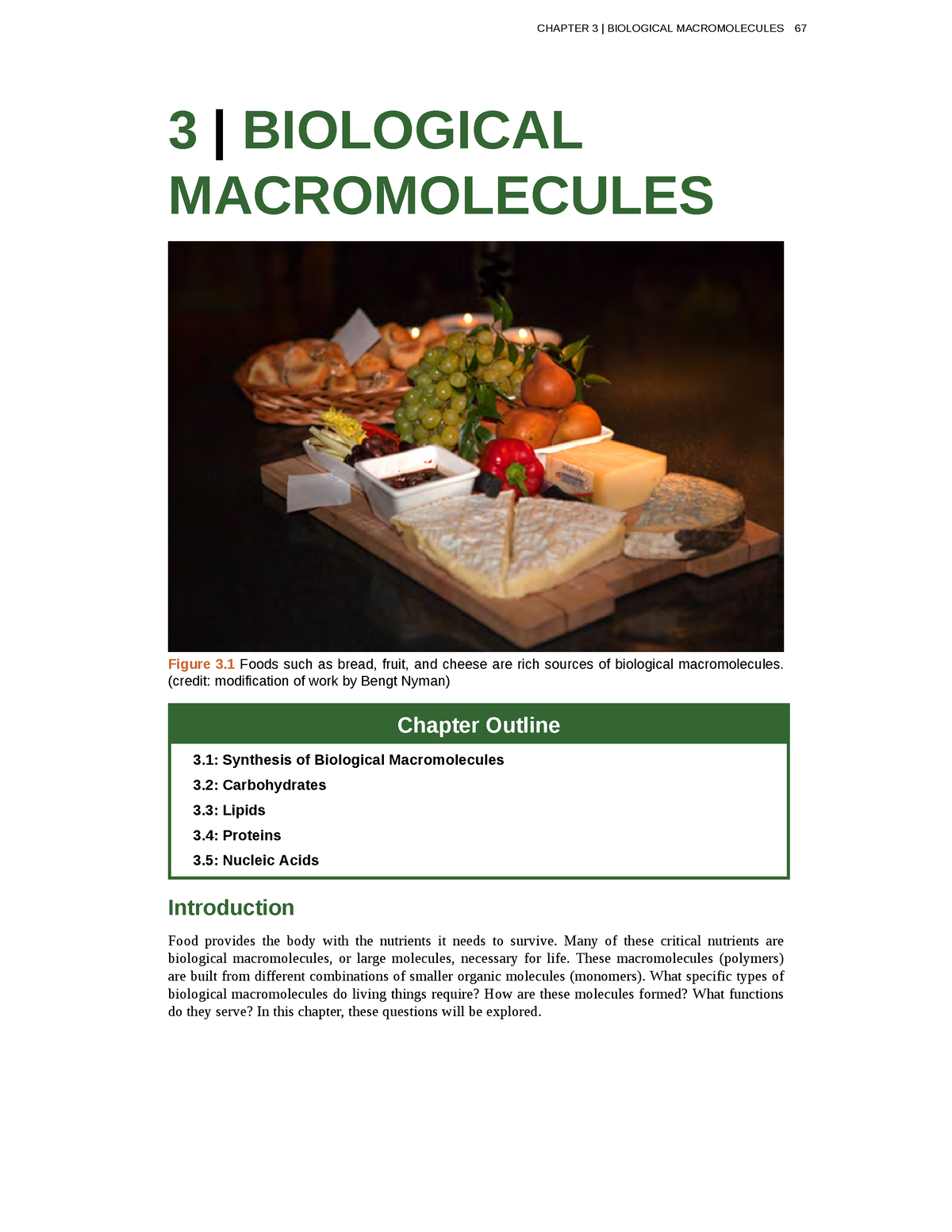 chapter-4-biological-macromolecules-biol-1301-uopeople-studocu