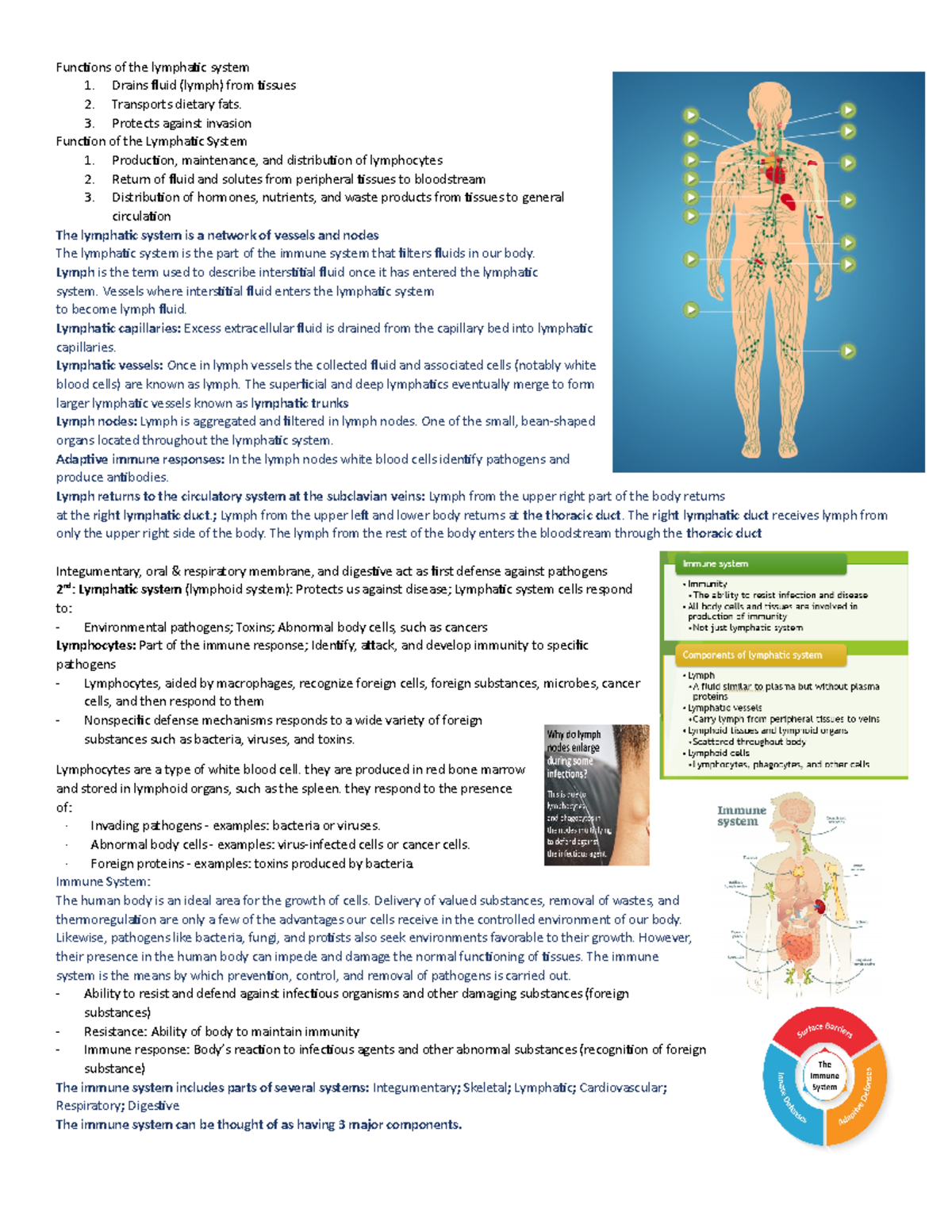 Functions of the lymphatic system - Drains fluid (lymph) from tissues 2 ...