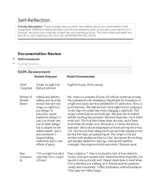 How to create a braden scale study using a case study - Nursing Care ...