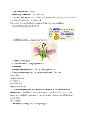 BIO 3 - biology powerpoint - Articulations (Joints) Bio 201 ...