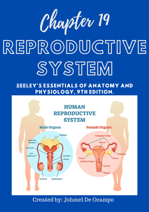 Urinary System - URINARY SYSTEM A system that is designed to get rid of ...