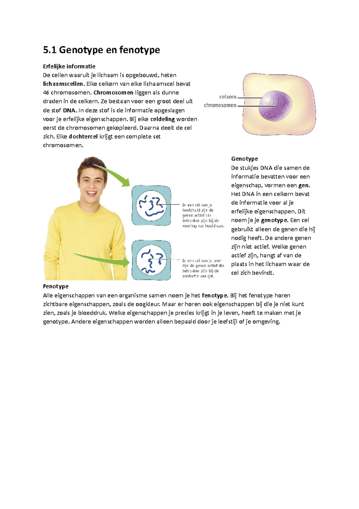 Bio Samenvatting H5 - Hoi Hoi - 5 Genotype En Fenotype Erfelijke ...