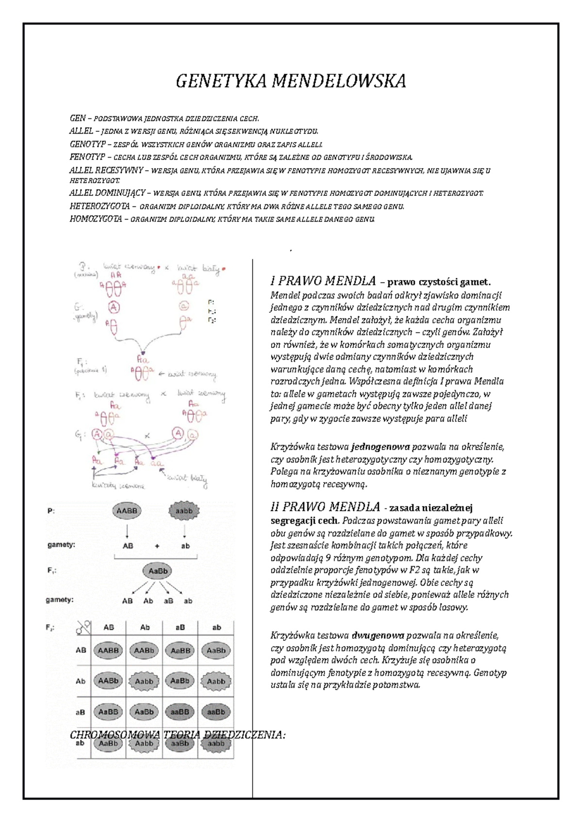 Genetyka Mendelowska - Notatki Z ćwiczeń - GENETYKA MENDELOWSKA GEN ...