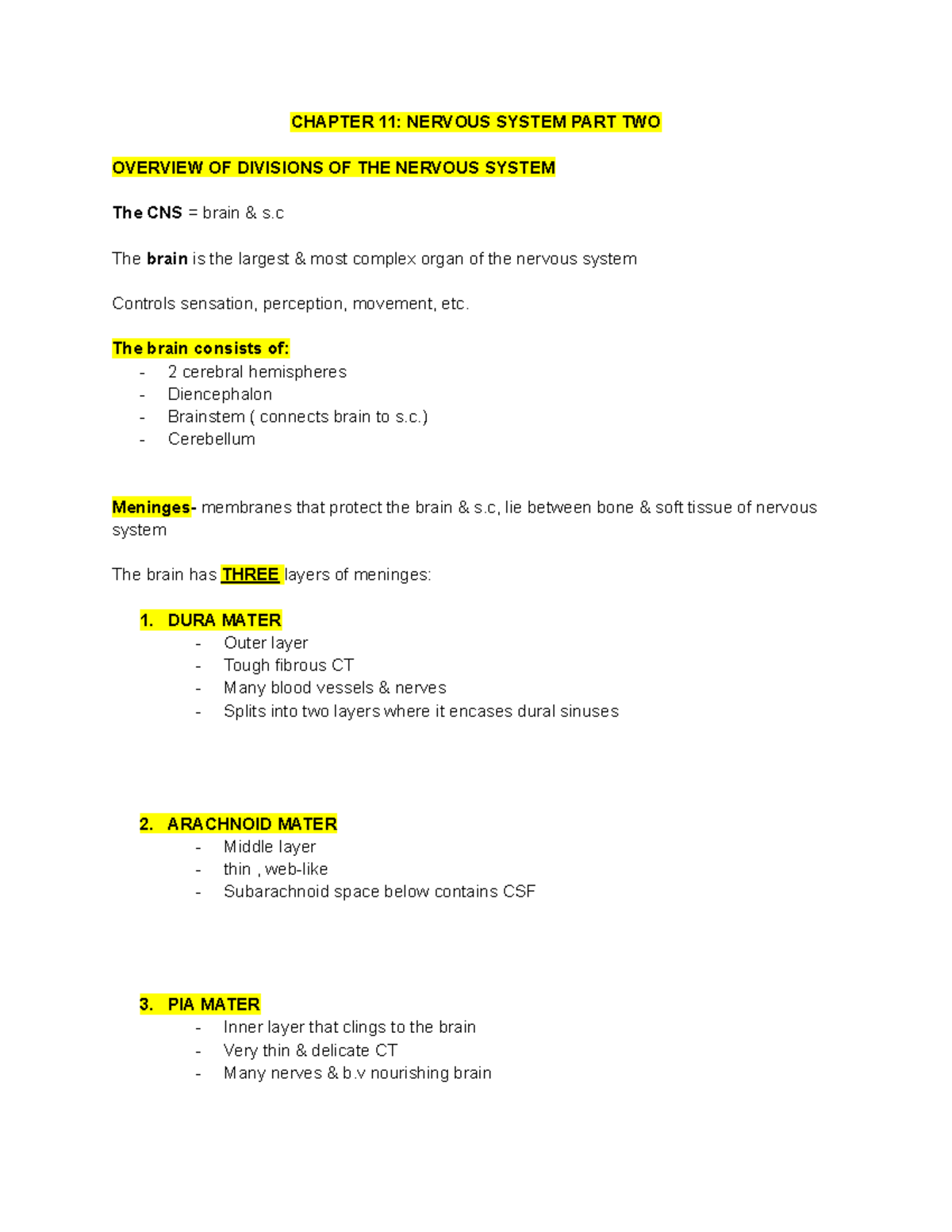 Chapter 11 ns - lecture - CHAPTER 11: NERVOUS SYSTEM PART TWO OVERVIEW ...