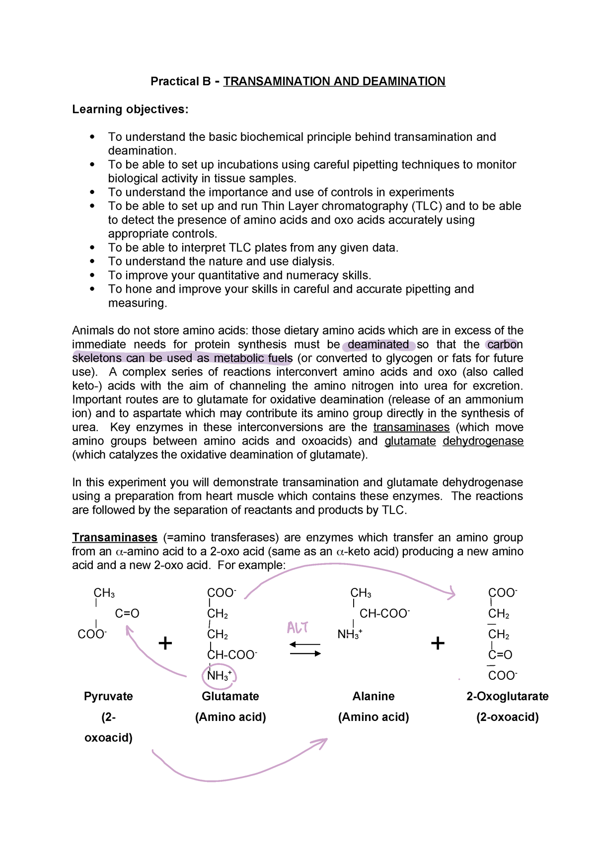 Practical B Reading - Practical B - TRANSAMINATION AND DEAMINATION ...