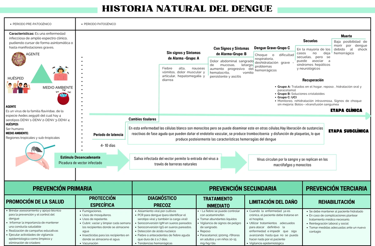 Historia DE LAS Enfermedades Dengue - EPIDEMOLOGIA - UNL - Studocu