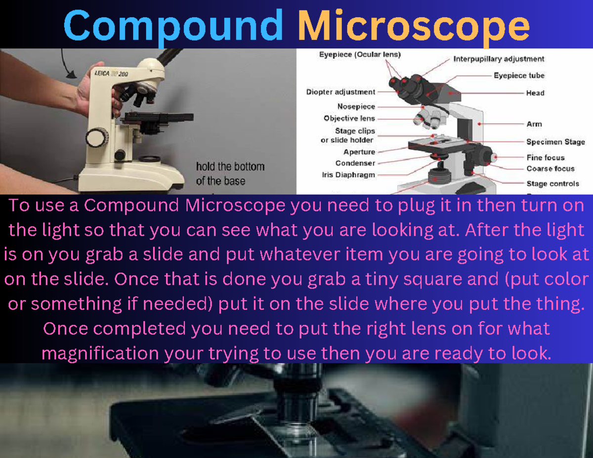 Compound Microscope - After the light is on you grab a slide and put ...