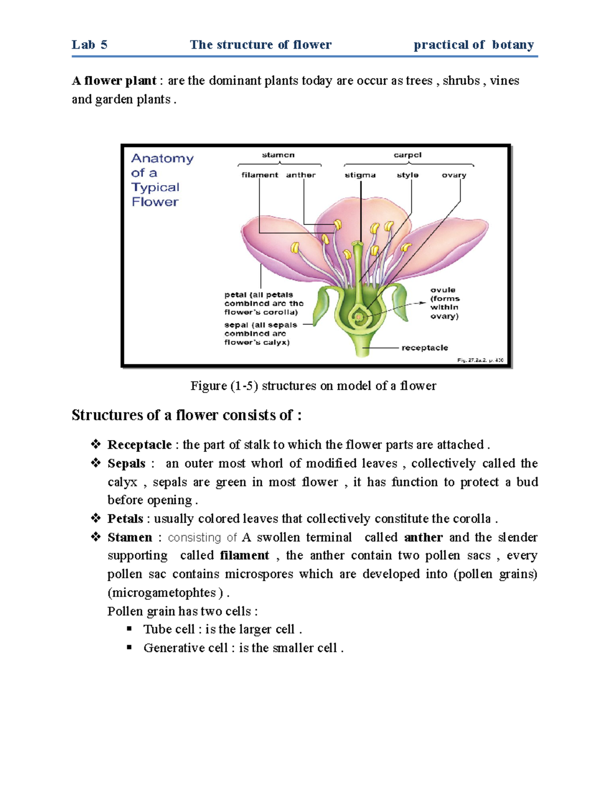 Botany 5 - Lab 5 The structure of flower practical of botany A flower ...