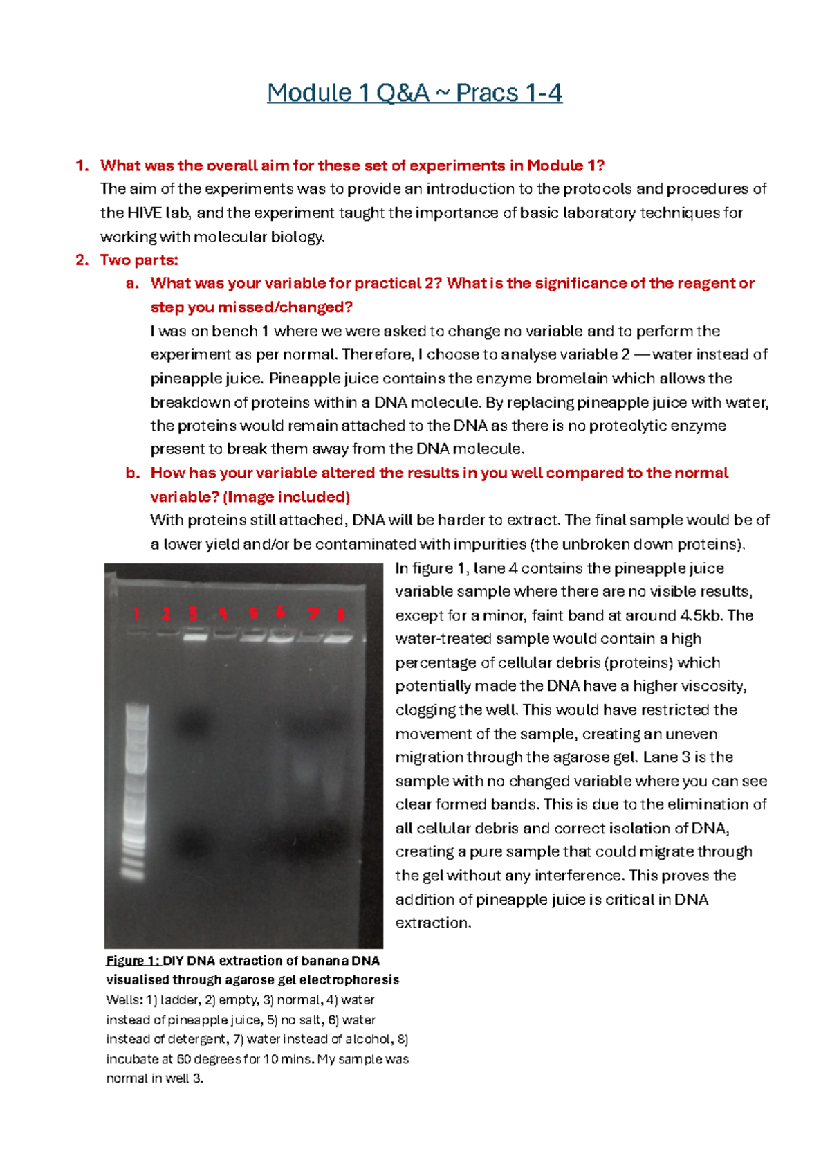 Practical Competency & Knowledge - Practicals 1 - 4 - Module 1 Q&A ...
