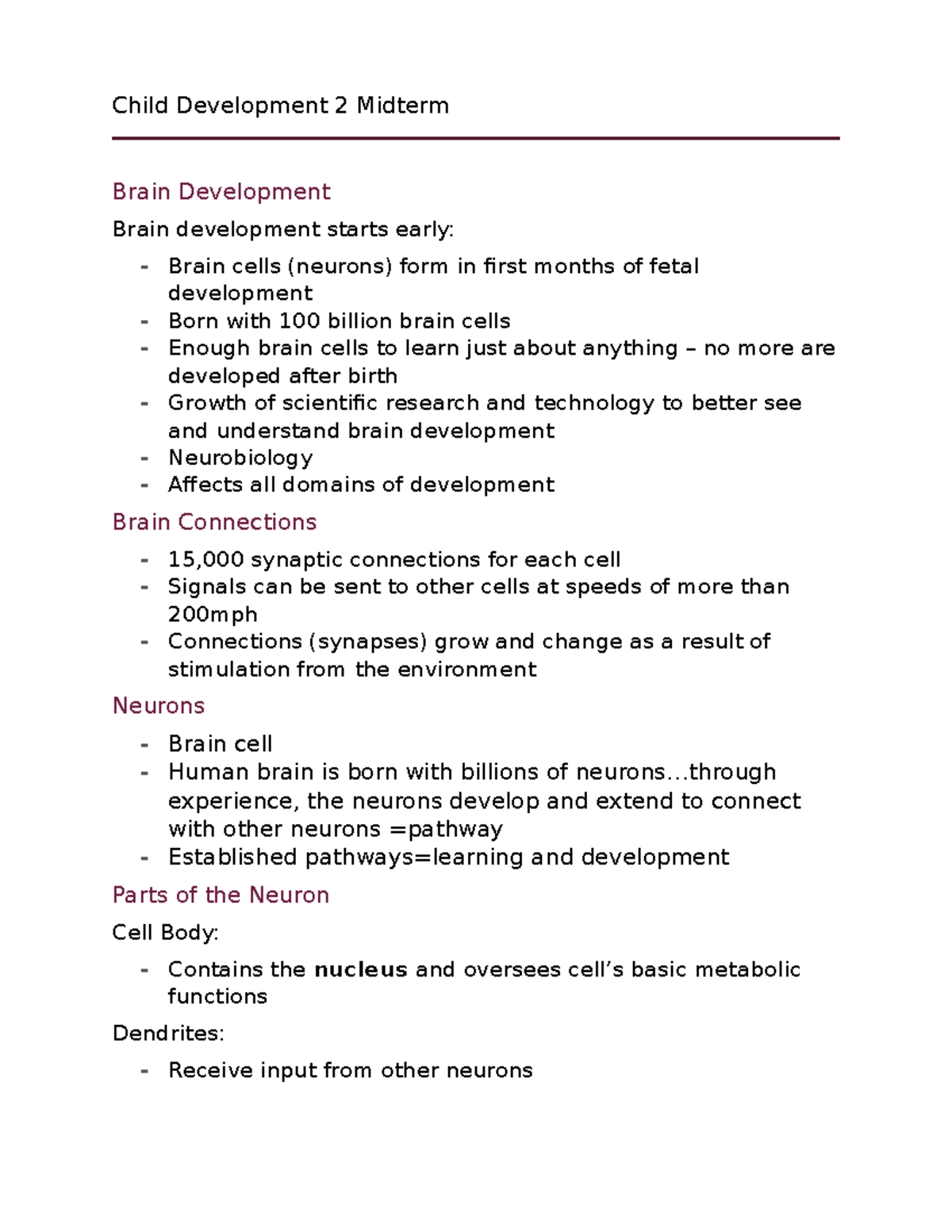 Child Development 2 Midterm - Child Development 2 Midterm Brain ...