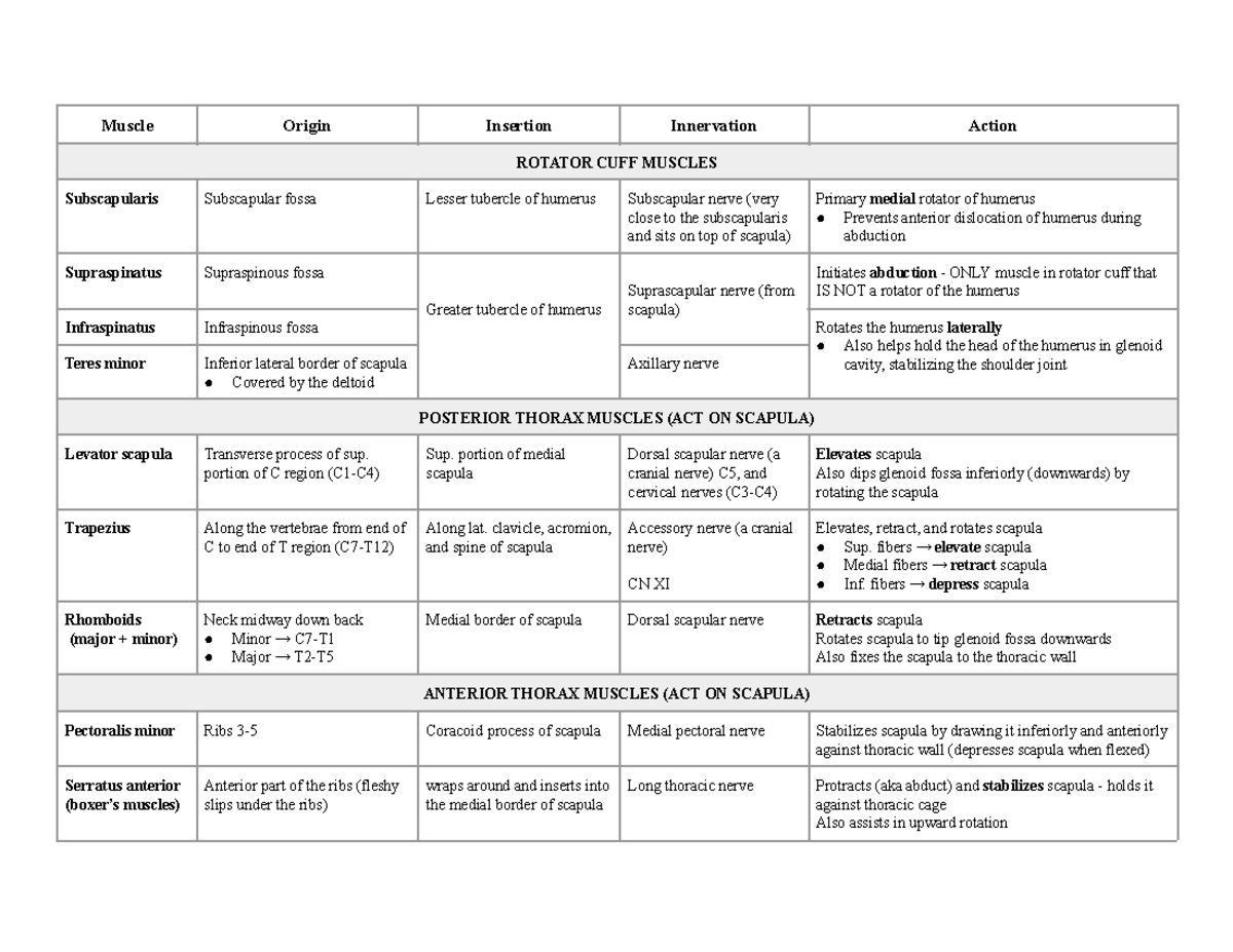 Muscles - chart for muscle function and innervation - Muscle Origin ...