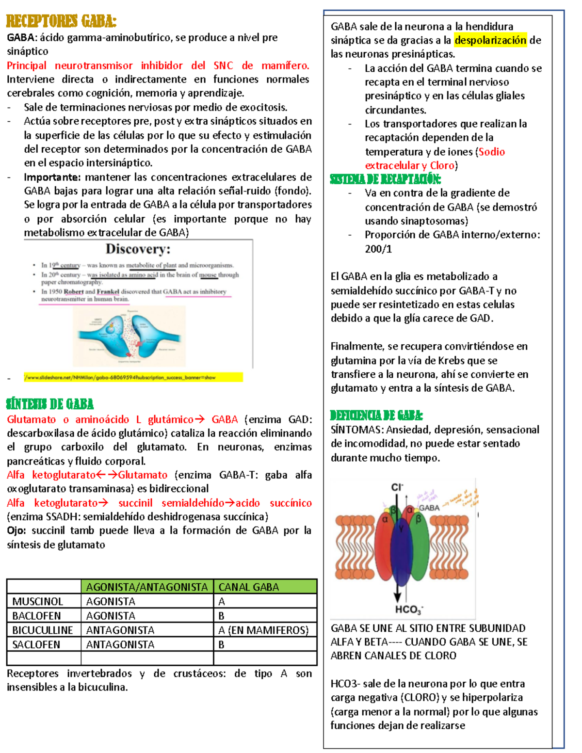 Clase 14 Resumen - Receptores GABA - RECEPTORES GABA: GABA : ácido ...