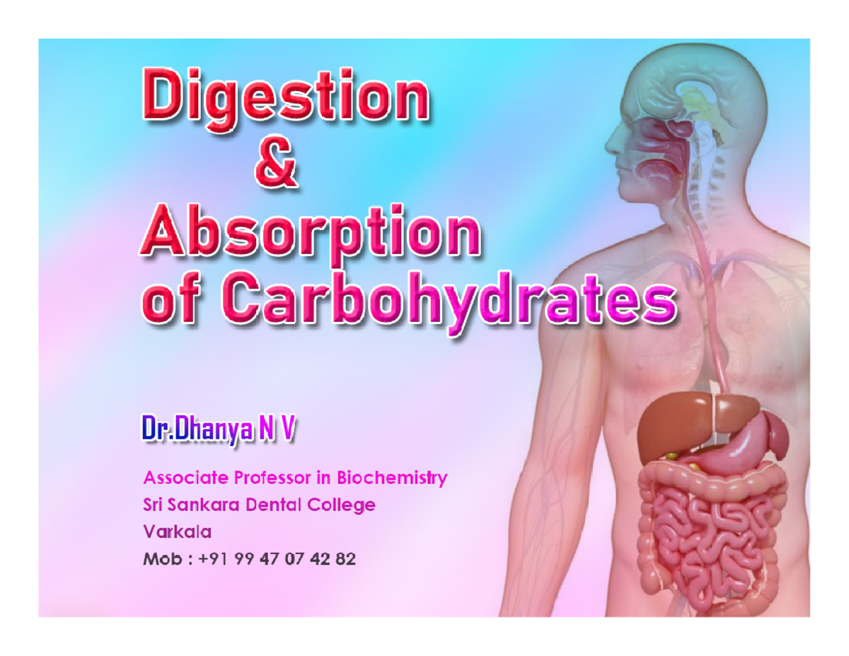 Digestion and absorption Digestion of Carbohydrates The process of