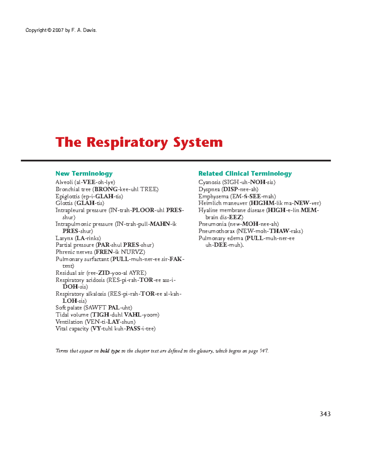 Anatomy and Physiology (37) - The Respiratory System 343 New ...