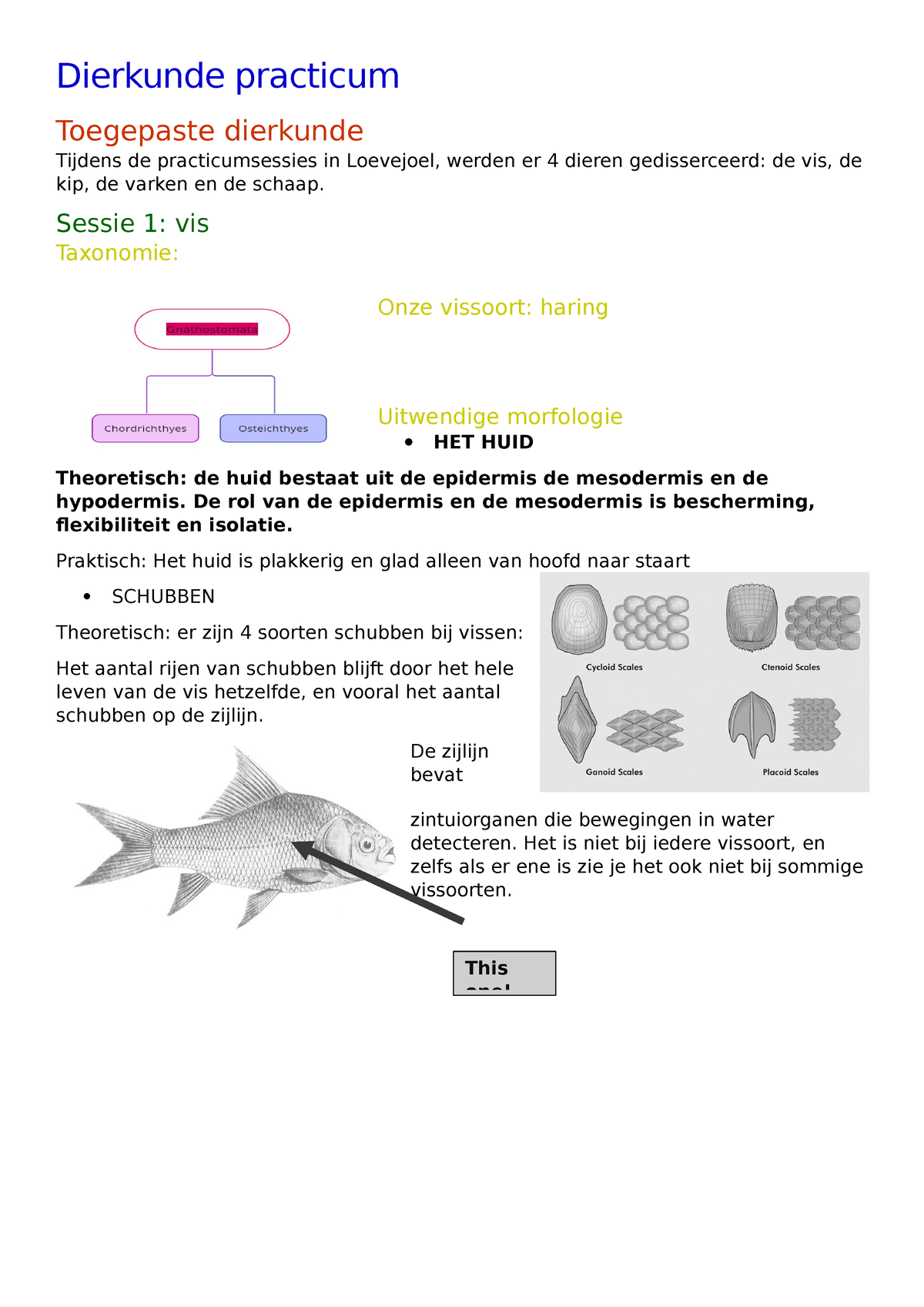 Dierkunde Samenvatting Biologie - Dierkunde Practicum Toegepaste ...