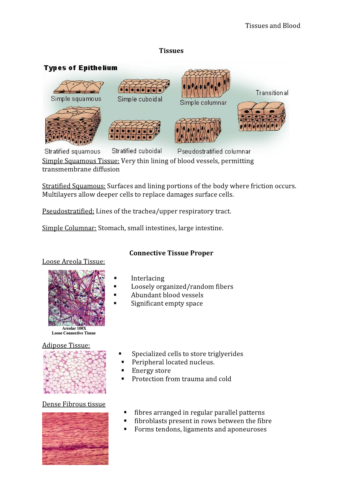 elaborate HAP notes - Tissues and Blood Tissues Simple Squamous Tissue ...