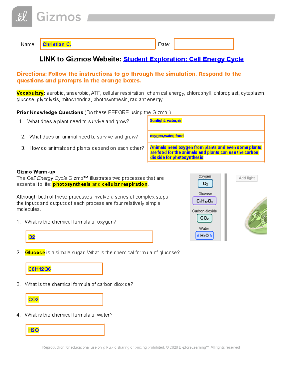 Copy of Gizmos Cell Energy Cycle Student Exploration - Name: Christian ...