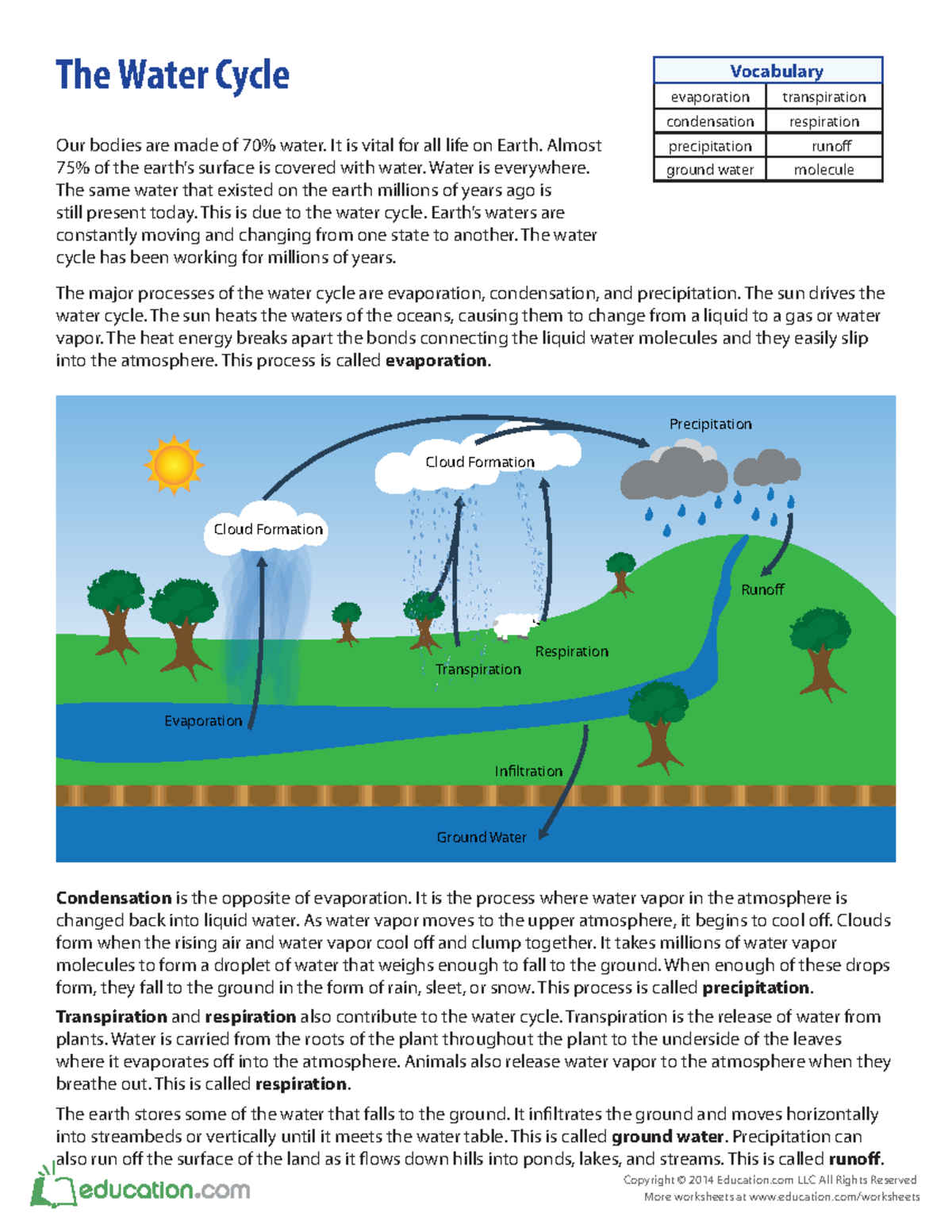 what-is-the-water-cycle-copyright-2014-education-llc-all-rights