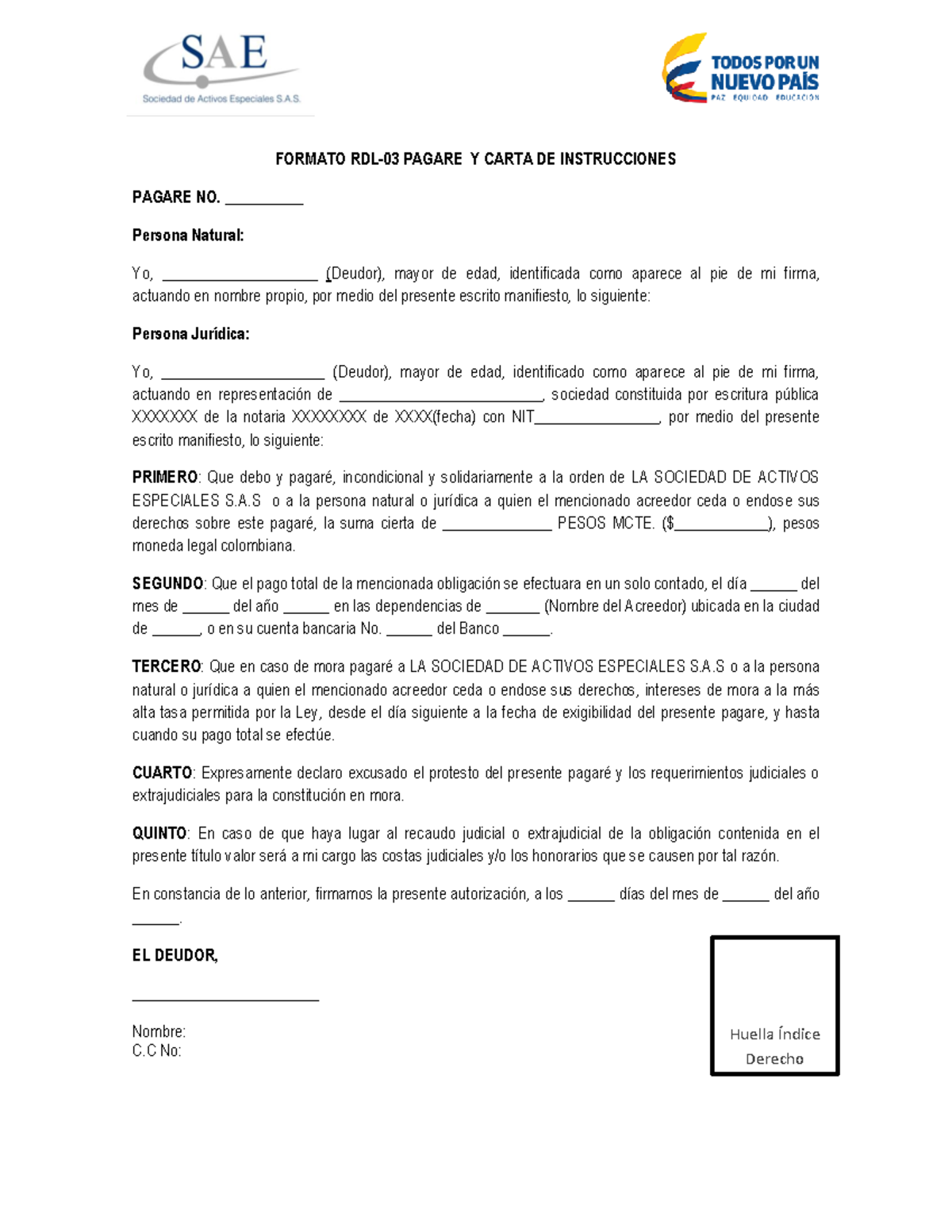 RDL 03 Pagare - Carta De Instrucciones Y Pagaré Para El Pago De Deudas ...