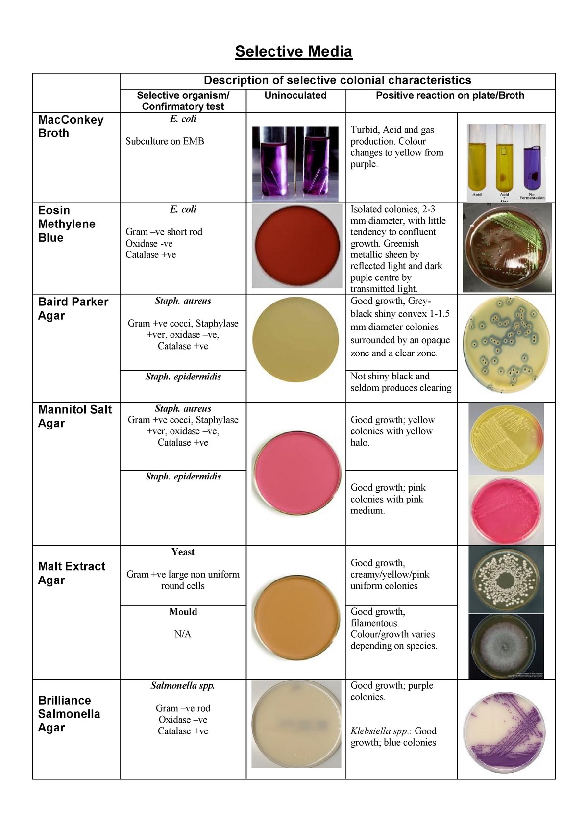 Lecture 6 - Selective Media, colonial characteristics - Selective Media ...