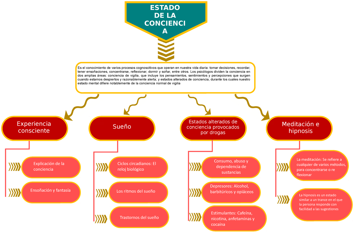 psicologia-del-ni-241-o-mapa-conceptual-psicologia-ga-vrogue-co