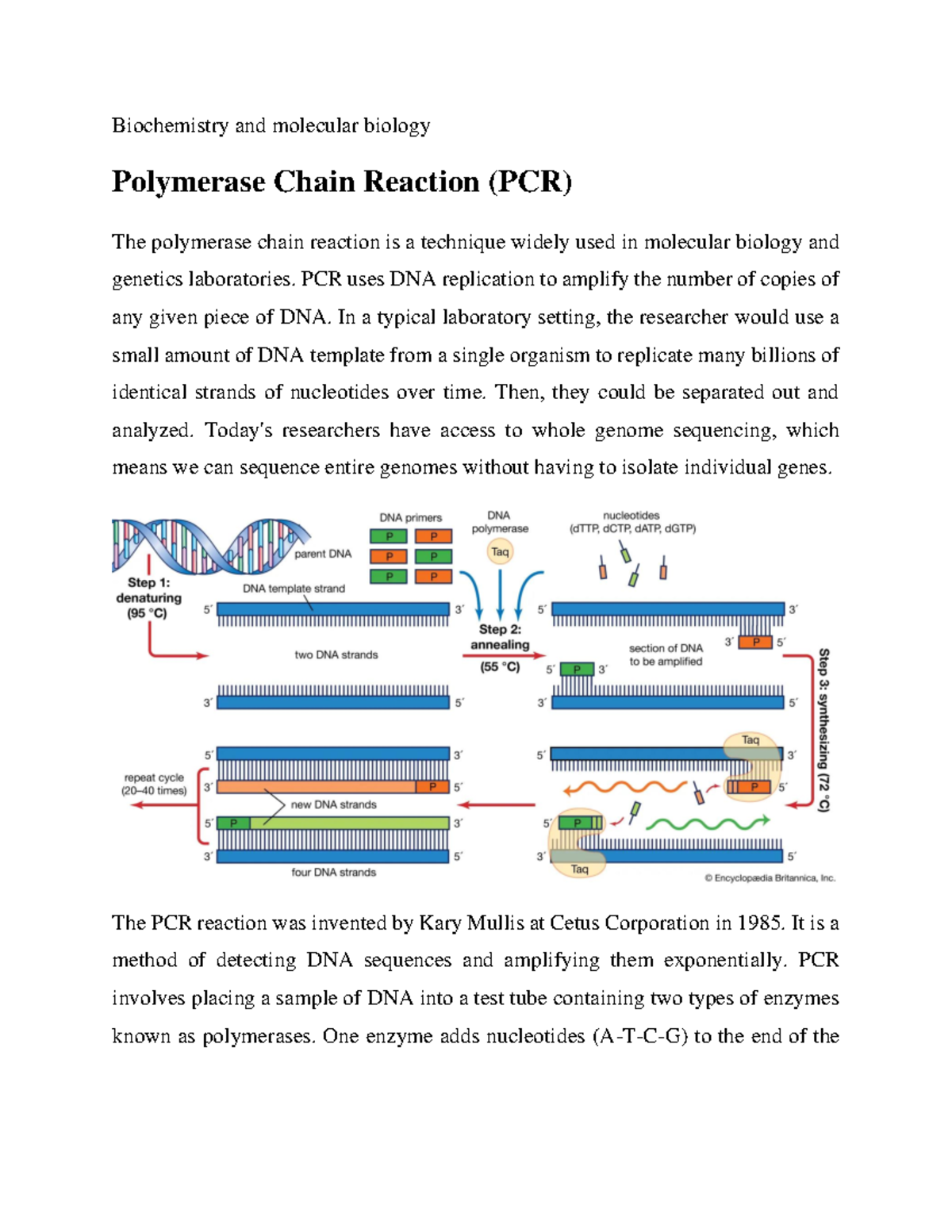 Polymerase Chain Reaction (PCR) - Biochemistry And Molecular Biology ...