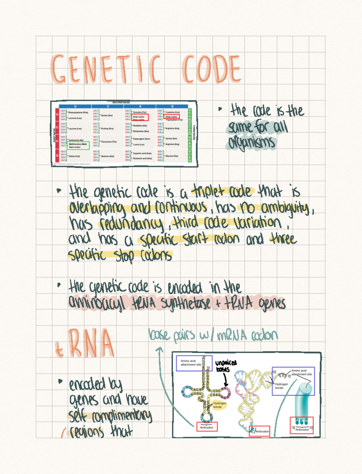 Lecture 15 Notes - GENETIC CODE Iggy Is The Same For All The Genetic ...