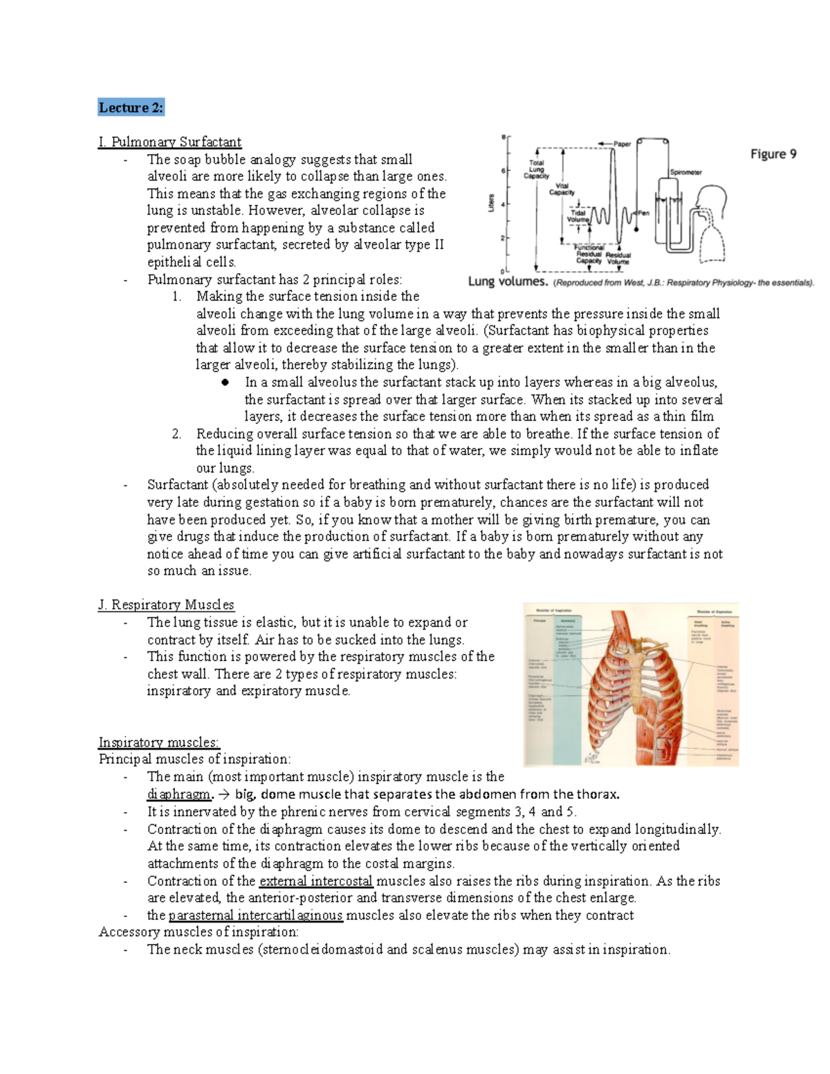 Respiratory Part 2 - Dr. Lauzon - Lecture 2: I. Pulmonary Surfactant ...