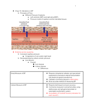 Patho Ch. 13 Notes - Chapter 13: Alterations in Oxygen Transport ...