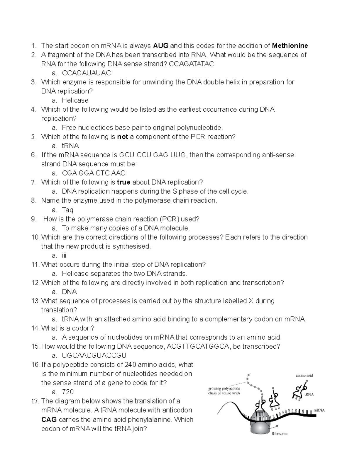 34 Questions Kognity Answers - The start codon on mRNA is always AUG ...