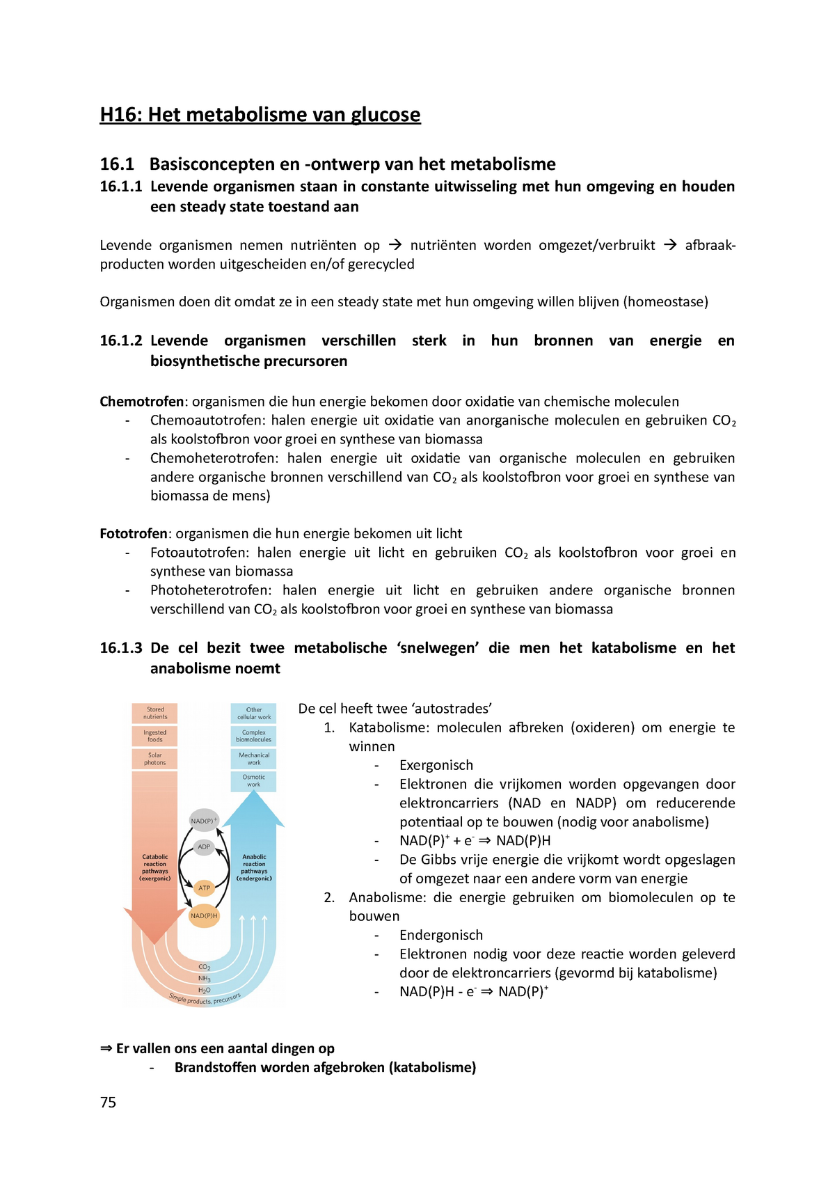 Biochemie II (deel 4) - Hoofdstuk 16-21 - H16: Het Metabolisme Van ...